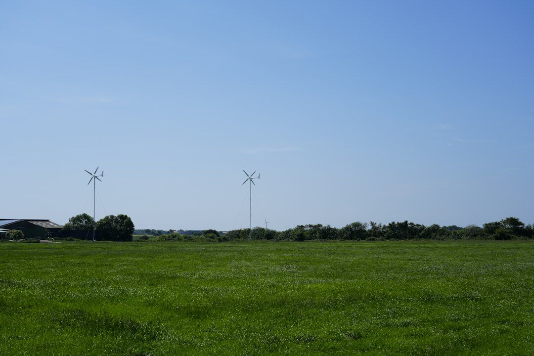 wind turbines in field